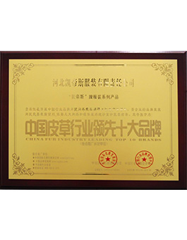 中国皮草行业领先十大品牌